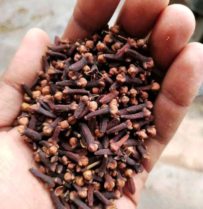 Surprising Health Benefits of Cloves