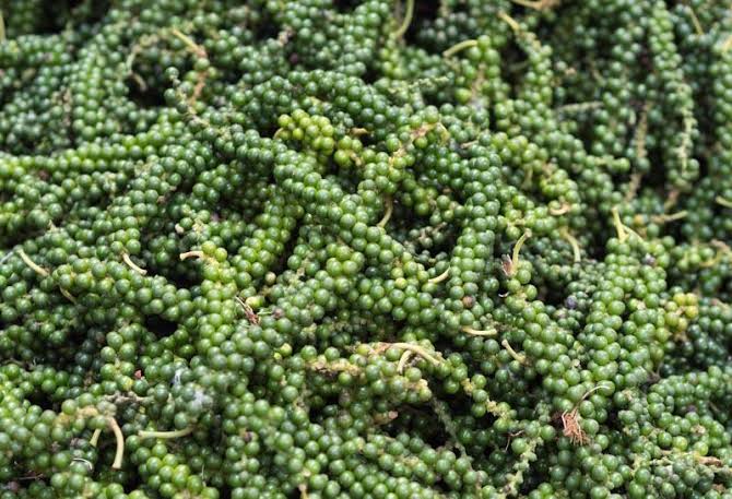 The Black Pepper story – from planting to harvest