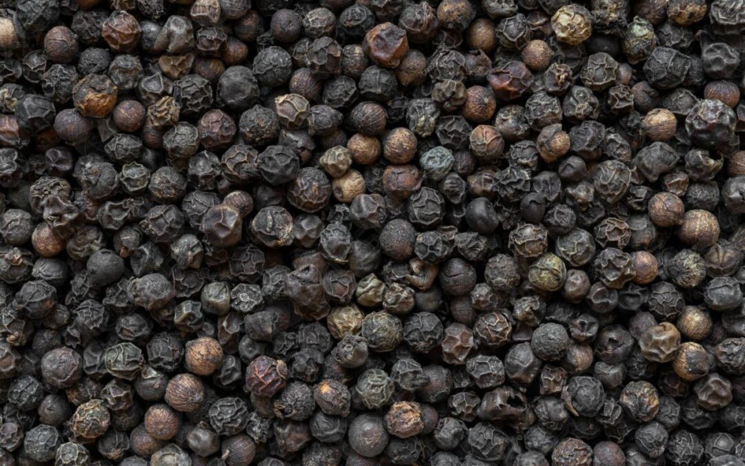 Black Pepper – Black Gold & The King of Spices